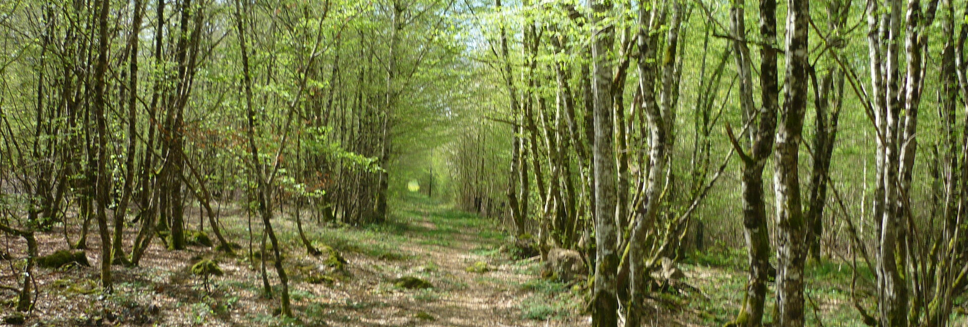 Hébergements/Loisirs